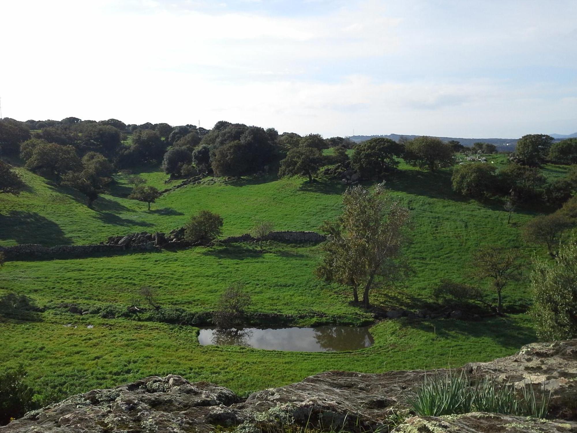 Agriturismo Pentuma Chiaramonti المظهر الخارجي الصورة