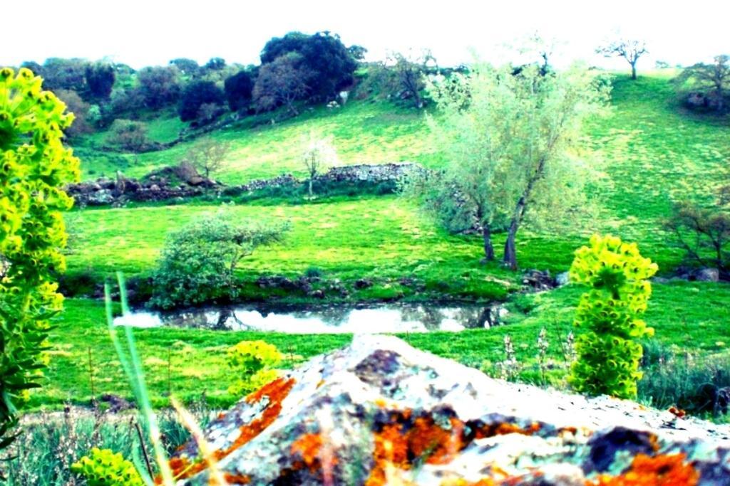 Agriturismo Pentuma Chiaramonti المظهر الخارجي الصورة