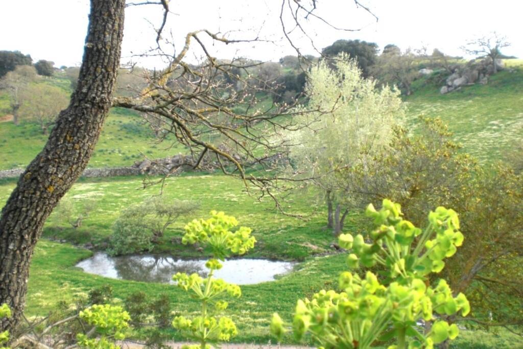 Agriturismo Pentuma Chiaramonti المظهر الخارجي الصورة