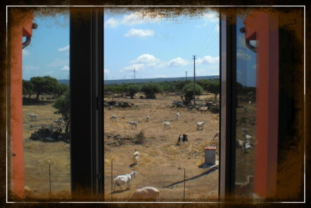 Agriturismo Pentuma Chiaramonti الغرفة الصورة