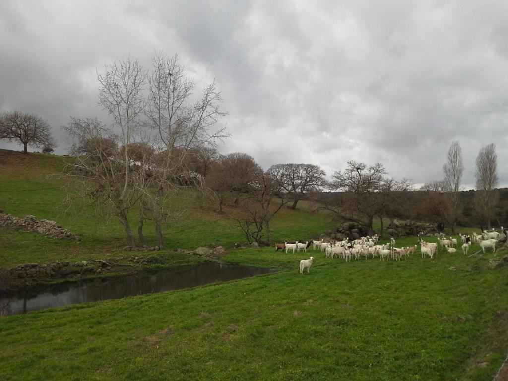 Agriturismo Pentuma Chiaramonti المظهر الخارجي الصورة