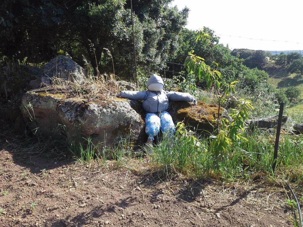 Agriturismo Pentuma Chiaramonti المظهر الخارجي الصورة